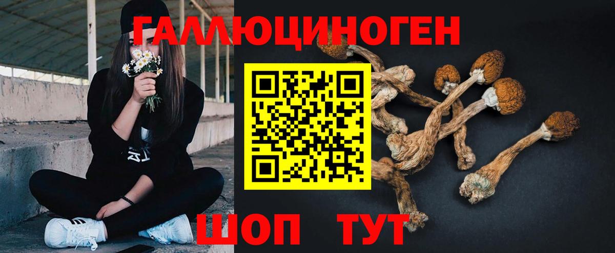 Галлюциногенные грибы прущие грибы Шарыпово