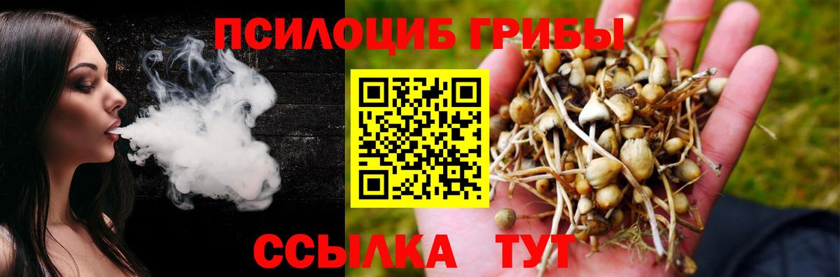 Псилоцибиновые грибы MAGIC MUSHROOMS  Вход с VPN  Шарыпово 